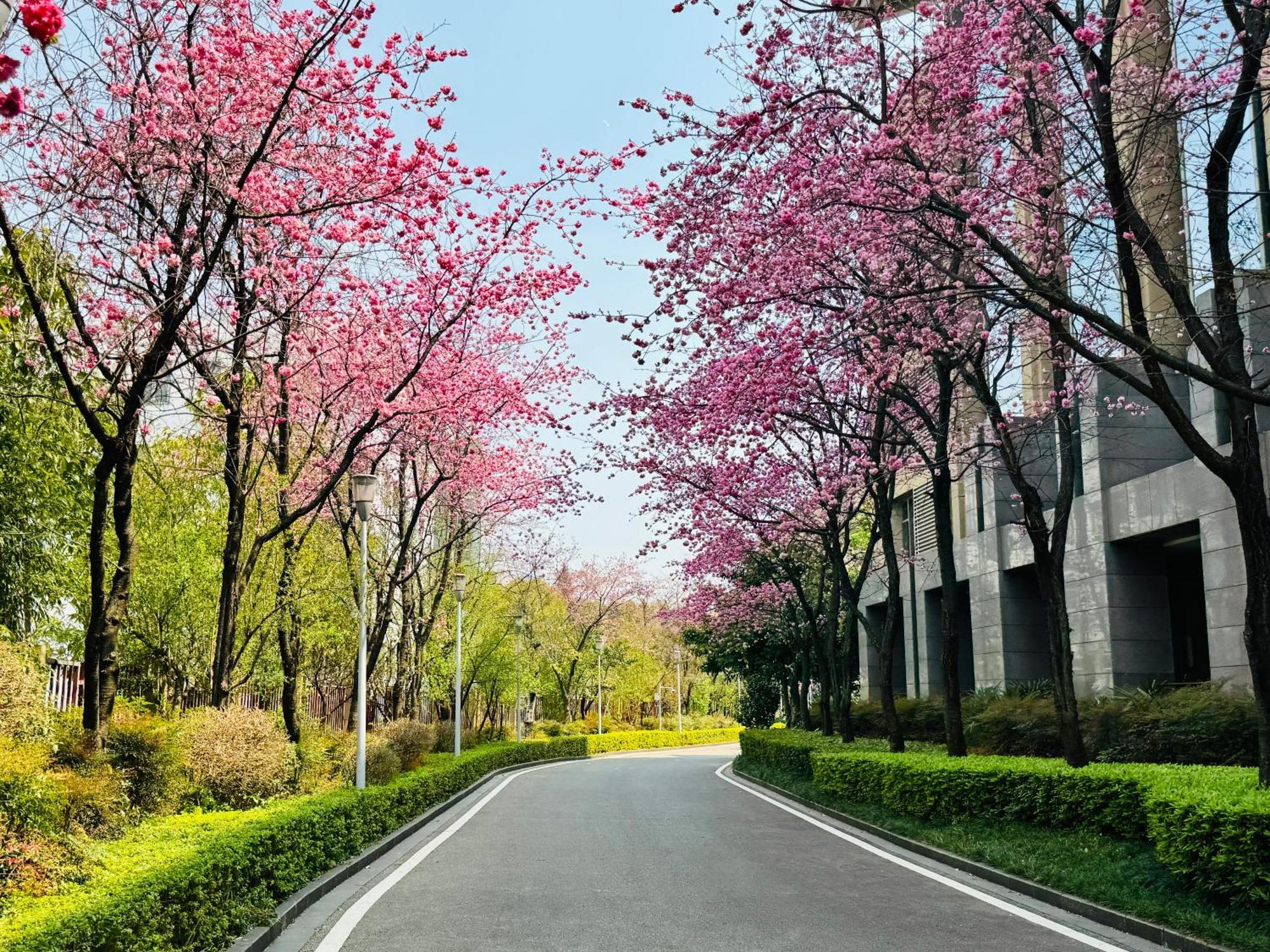Intercontinental Kunming By Ihg Ξενοδοχείο Εξωτερικό φωτογραφία